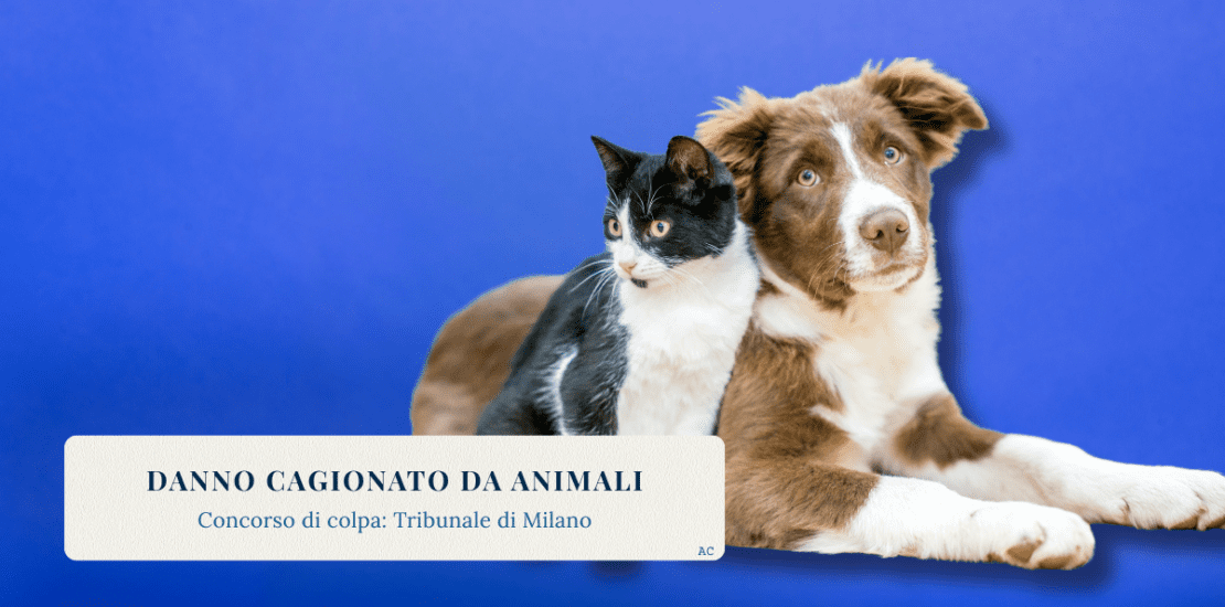 Cane e gatto affiancati su sfondo blu con titolo sull'articolo relativo al danno cagionato da animali e al concorso di colpa secondo il Tribunale di Milano.